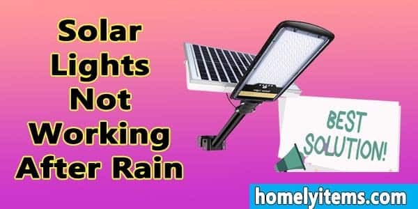 Solar Lights Not Working After Rain- Reasons and Solutions