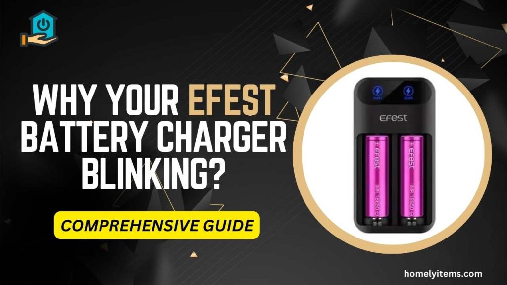 Efest Battery Charger Blinking