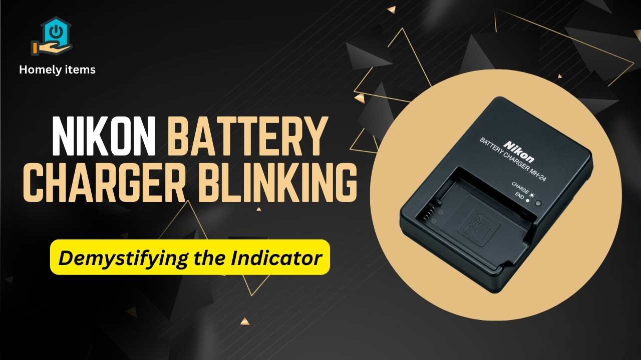 Nikon Battery Charger Blinking