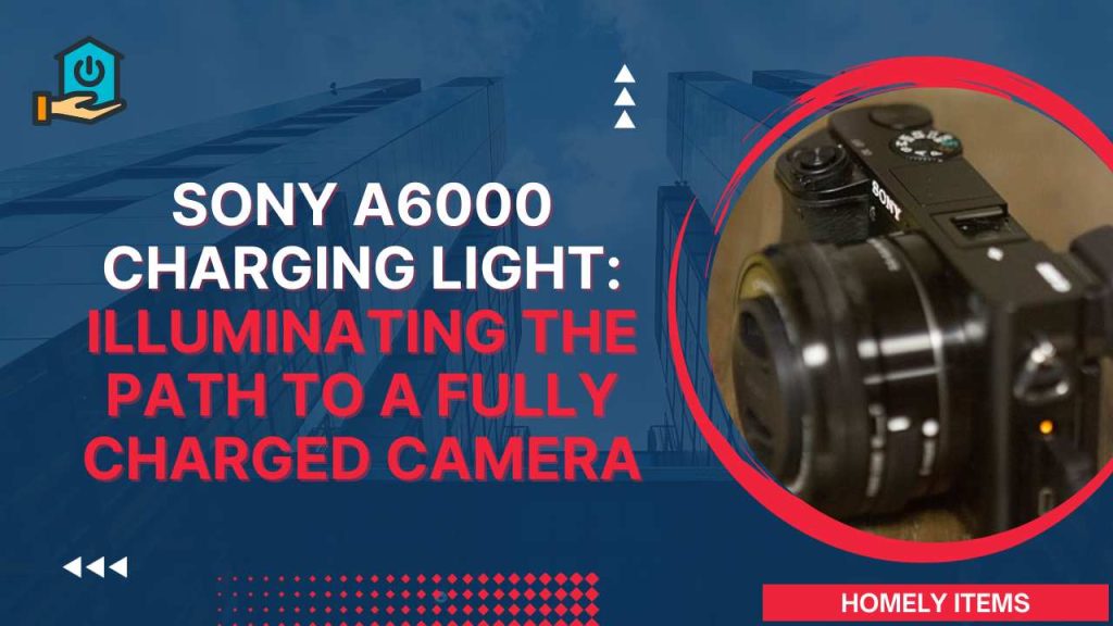 Sony A6000 Charging Light