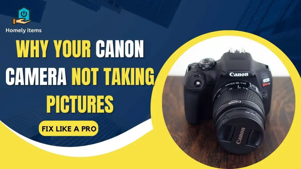 Canon Camera Not Taking Pictures